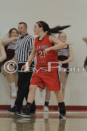 Glen Rose vs. Perryville Girls 3A District Tournament 2-20-2015 (©Justin Manning) JWM_121