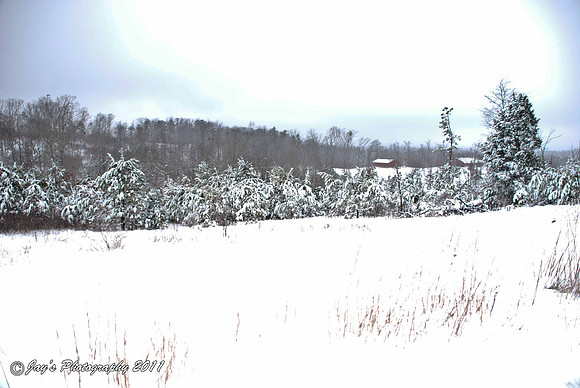 DSC_0019