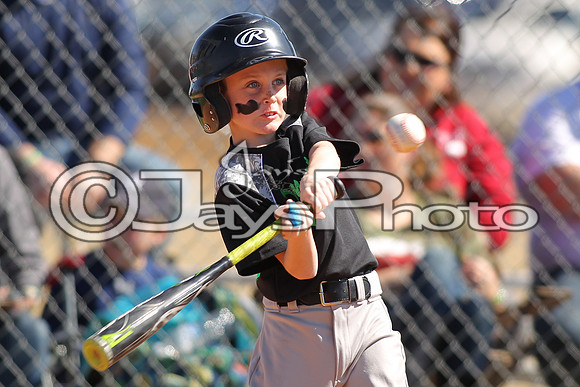 Benton Panthers vs. White Hall Dominators 2-27-16 JWM_0447
