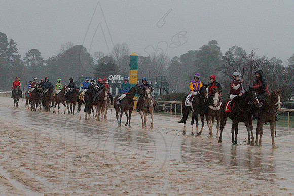Dixie Belle Stakes 1-10-14 (©Justin Manning) JWM_0028