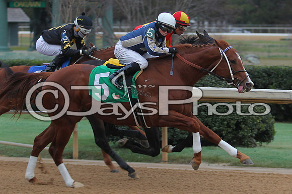 Oaklawn Smarty Jones Stakes 1-18-2016 (©Justin Manning) JWM_(0400
