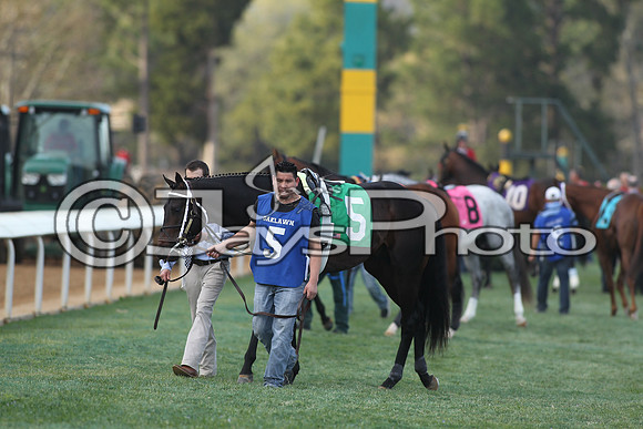 JWM_170318_RebelStakes_00748