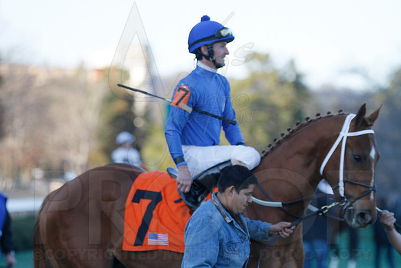 Oaklawn 1-21-13 (Smarty Jones Stakes) (Justin Manning)0137