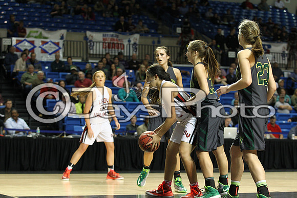 Nemo Vista vs. Wonderview 1A Girls State Finals 3-12-2015 (©Justin Manning) JWM_235