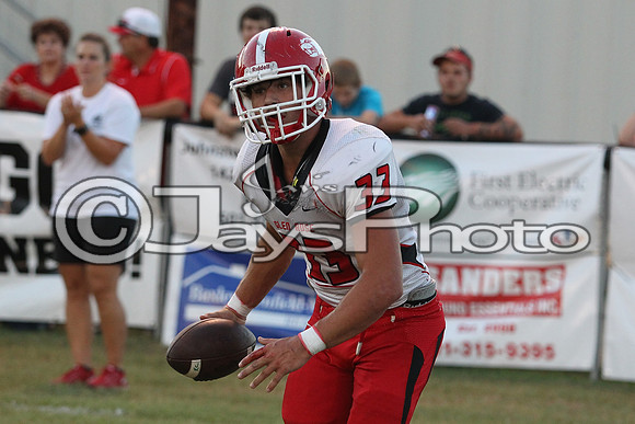 Glen Rose @ Bauxite 9-11-2015 (©Justin Manning) JWM_0316