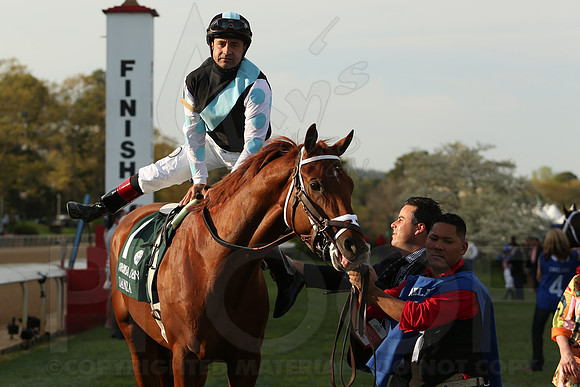 Arkansas Derby 4-12-2014 (© Justin Manning) JWM_0911
