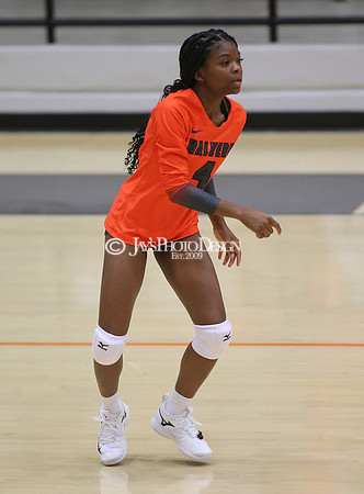 Harmony Grove @ Malvern 8-21-23_0283