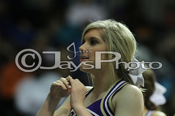 Riverview vs. Ozark 4A Girls State Finals 3-13-2015 (©Justin Manning) JWM_444