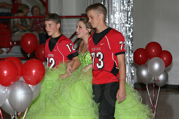 Football Homecoming (Day Ceremony) 10-10-2014 (©Justin Manning) JWM_0018