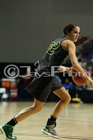 Nemo Vista vs. Wonderview 1A Girls State Finals 3-12-2015 (©Justin Manning) JWM_366