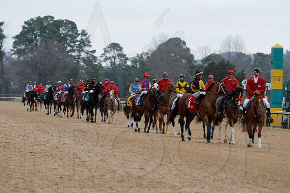 The 54th running of the Razorback Handicap 3-9-13 JWM0158 (©Justin Manning)