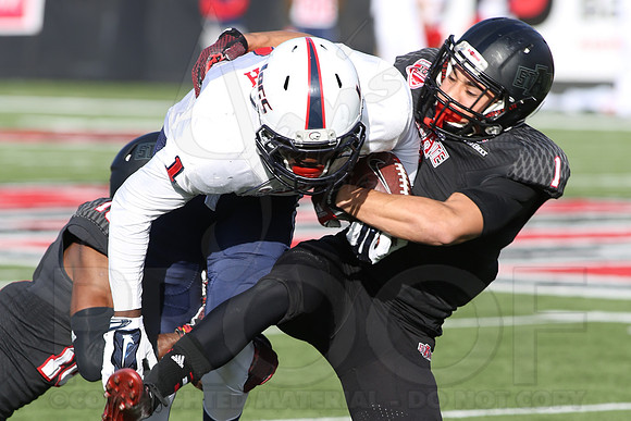South Alabama @ Arkansas State 11-8-2014 (©Justin Manning) JWM_426