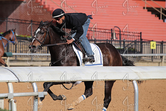 Apple Blossom Stakes Day 4-12-25_JWM_0016