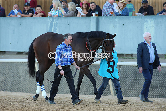 z220402_ArkansasDerbyday_Manning_JWM_1726