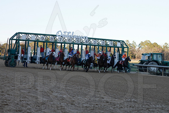 Oaklawn 1-21-13 (Smarty Jones Stakes) (Justin Manning)0204