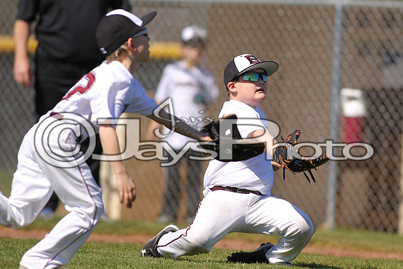 Benton Panthers vs. White Hall Dominators 2-27-16 JWM_0032