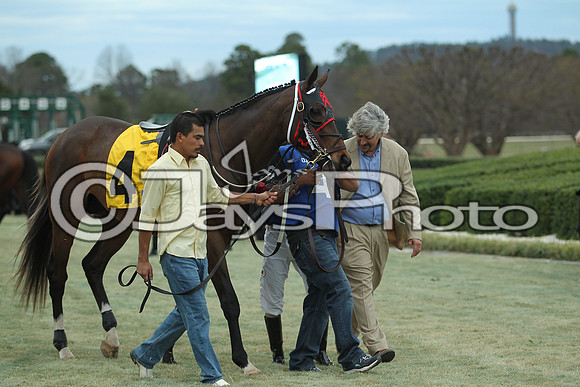 Southwest Stakes (GradeIII) 2-20-17_JWM00689