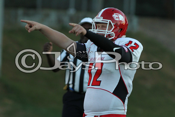 Glen Rose @ Bauxite 9-11-2015 (©Justin Manning) JWM_0162