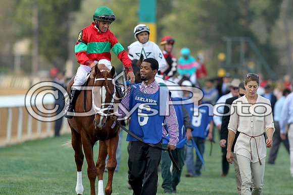 JWM_170318_RebelStakes_00794