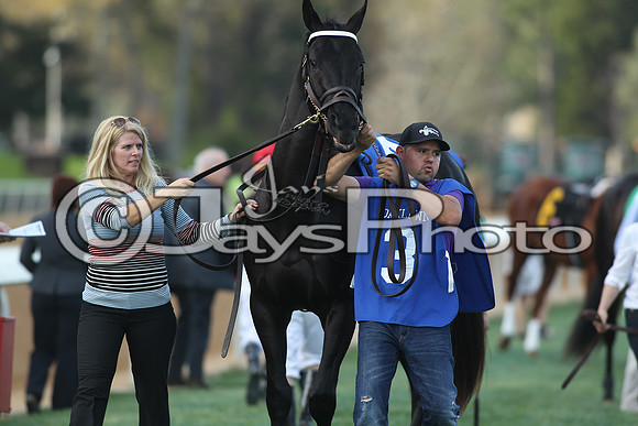 JWM_170318_RebelStakes_00739