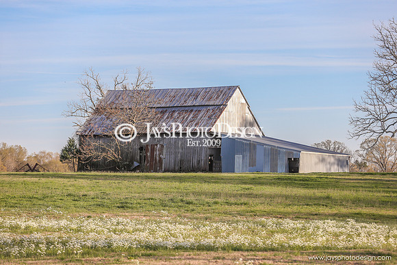 Barns 3-25-20_0046