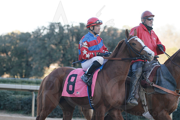 Oaklawn 1-21-13 (Smarty Jones Stakes) (Justin Manning)0177