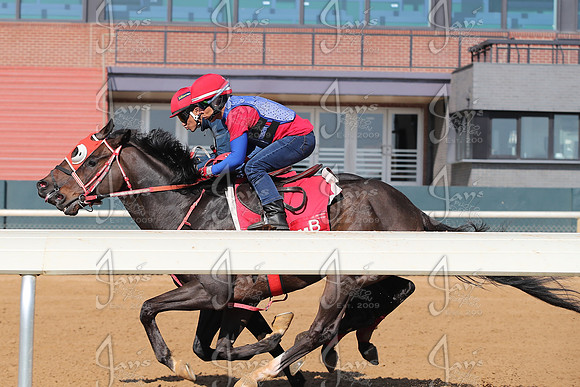 Apple Blossom Stakes Day 4-12-25_JWM_0091