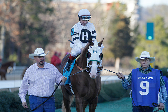 Oaklawn 1-21-13 (Smarty Jones Stakes) (Justin Manning)0144