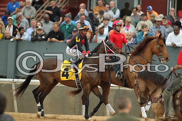 Southwest Stakes (GradeIII) 2-20-17_JWM00797