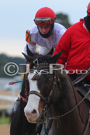 Oaklawn Smarty Jones Stakes 1-18-2016 (©Justin Manning) JWM_(0322