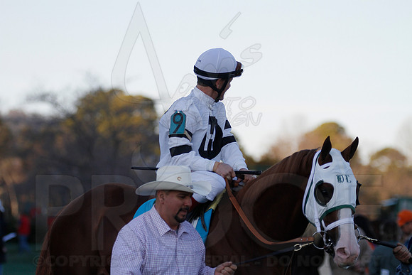 Oaklawn 1-21-13 (Smarty Jones Stakes) (Justin Manning)0147