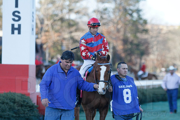 Oaklawn 1-21-13 (Smarty Jones Stakes) (Justin Manning)0139