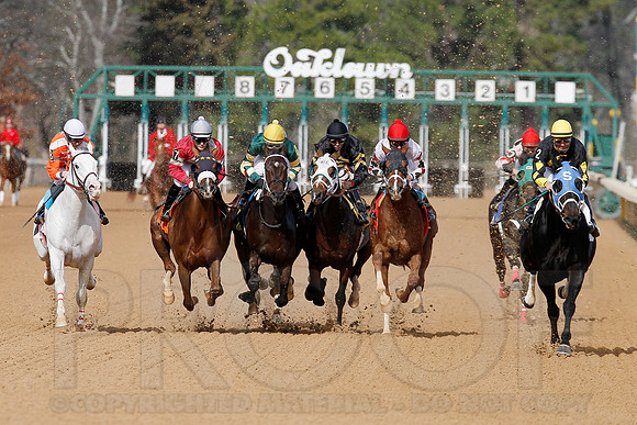 Oaklawn 1-11-13 (Justin Manning)0076