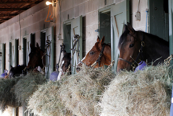Oaklawn 1-11-13 (Justin Manning)0011