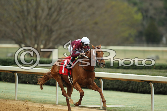 Southwest Stakes (GradeIII) 2-20-17_JWM00213