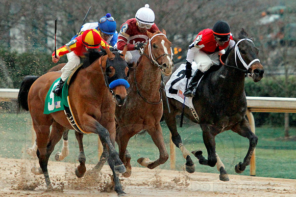 Rebel Stakes 3-15-14 3-15-2014 (© Justin Manning) JWM_0232-2