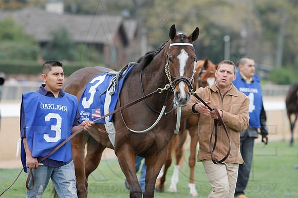 Fantasy Stakes 4-5-2014 (© Justin Manning) JWM_0590