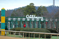 Oaklawn Smarty Jones Stakes 1-18-2016 (©Justin Manning) JWM_(0104