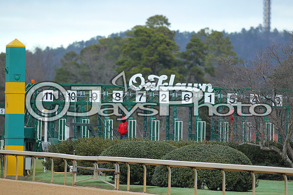 Oaklawn Smarty Jones Stakes 1-18-2016 (©Justin Manning) JWM_(0104