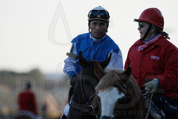 Oaklawn 1-21-13 (Smarty Jones Stakes) (Justin Manning)0187