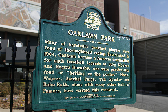 Oaklawn 1-21-13 (Smarty Jones Stakes) (Justin Manning)0272