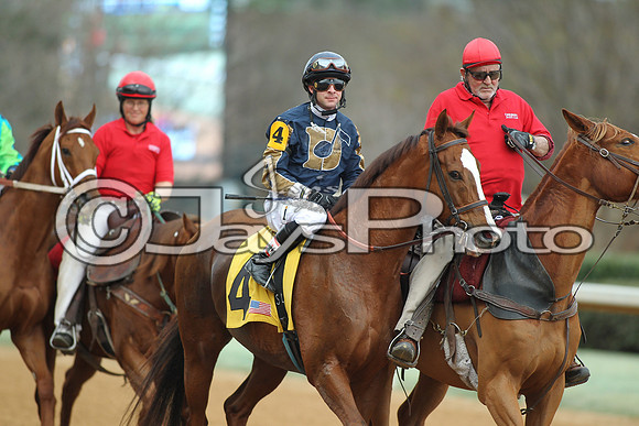 Southwest Stakes (GradeIII) 2-20-17_JWM00133