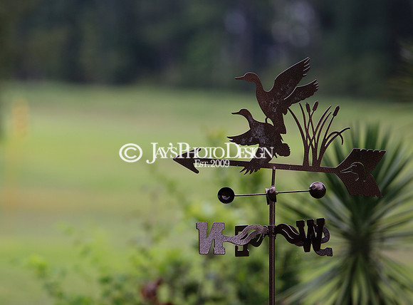 Silver Springs Golf Course (Harmony Grove & Glen Rose high schools) 9-12-23_JWM_0045