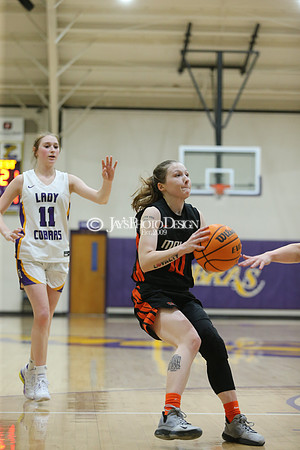 Malvern @ Fountain Lake 1-26-21_JWM_0448