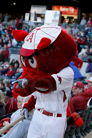 Miss Valley State @ Arkansas Baseball 3-27-13 (© Justin Manning) JWM0069