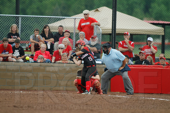 Rose Bud vs. Harmony Grove Regional Softball 5-9-2014 (© Justin Manning) JWM_0079