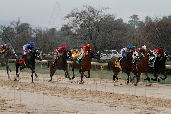 Rebel Stakes 3-15-14 3-15-2014 (© Justin Manning) JWM_0192