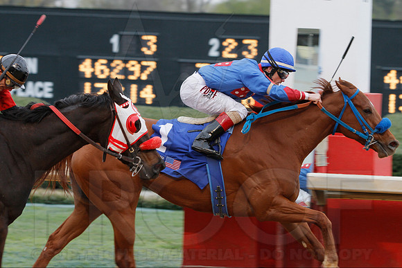 Fantasy Stakes 4-5-2014 (© Justin Manning) JWM_0880