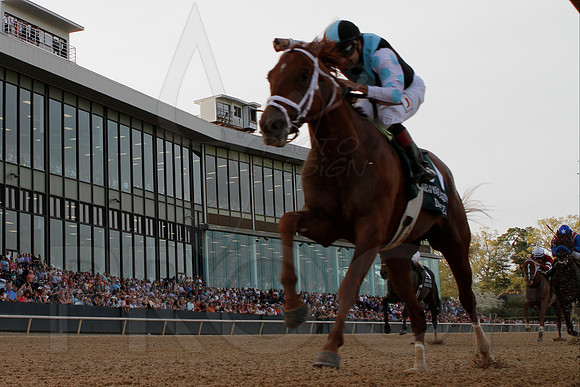 Arkansas Derby 4-12-2014 (© Justin Manning) JWM_1348