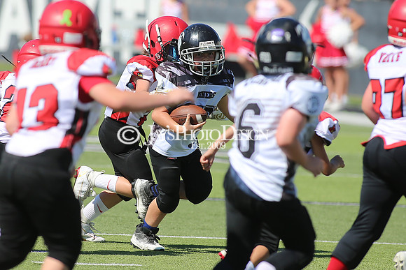 Harmony Grove @ Bauxite peewee football 9-16-23_JWM_0120